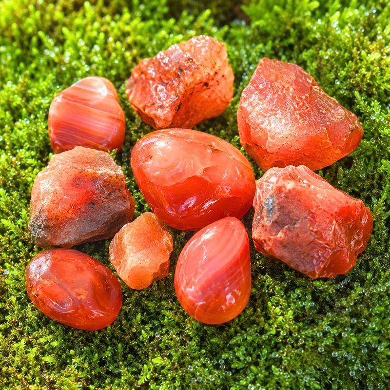 Přírodní karneol v oroseném mechu Magického lesa splněných přání