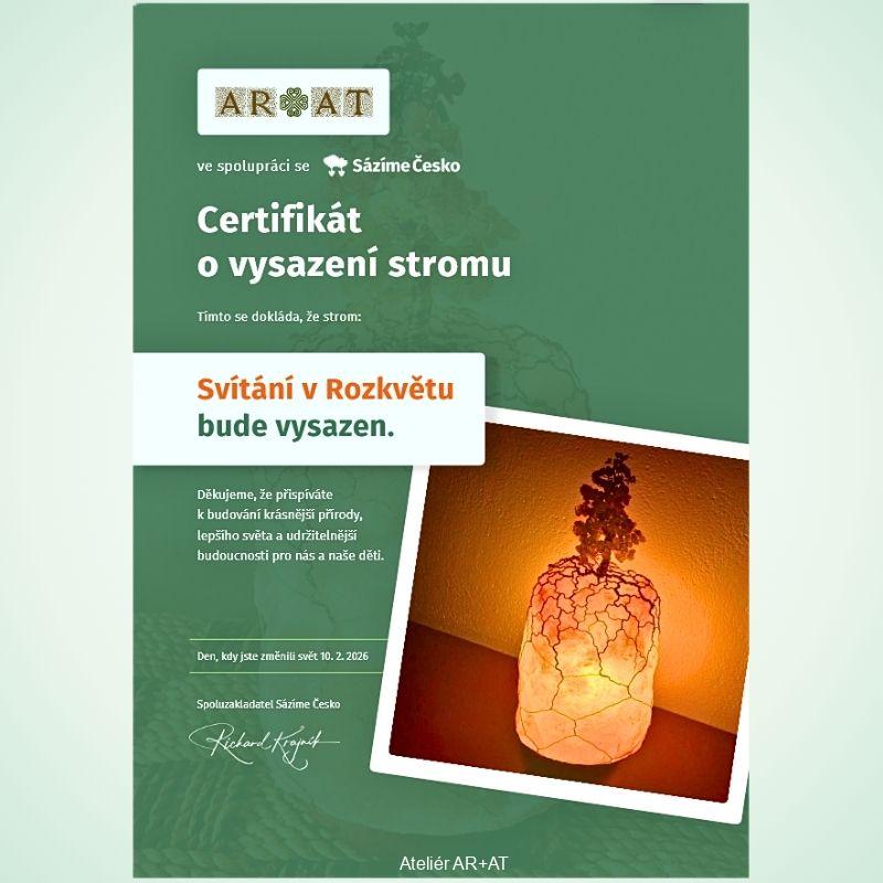 Svítání v Rozkvětu – tantrický Strom Života na solné lampě