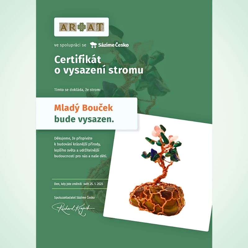 Certifikát o vysazení Stromového dvojčete jménem Mladý Bouček